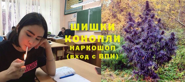 МДПВ Алексин