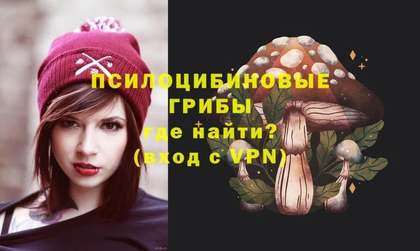 МДПВ Алексин